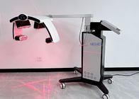 Low Level Physiotherapy Cold Laser Therapy Device 500mw 110CM Head