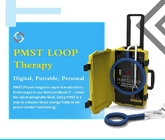 Frozen Shoulder Pain Relief Pmst Double Loop For Human Physical PEMF Magnetic Therapy Device