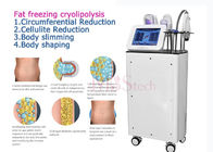 CE Rohs Weight Loss Body EMShapeing Cryolipolysis Machine