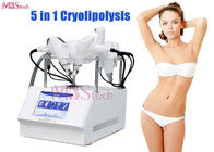 5 In 1 Multifunction Cryolipolysis Fat Freeze Slimming Machine