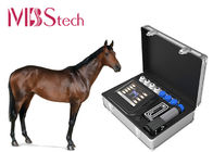 Portable Veterinary Shockwave Treat Orthopedic Problems In Horses Shockwave Therapy Machine