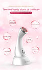 Acne Removal Rf Microcurrent Home Skin Tightening Device Skin Lifting Beauty Machine