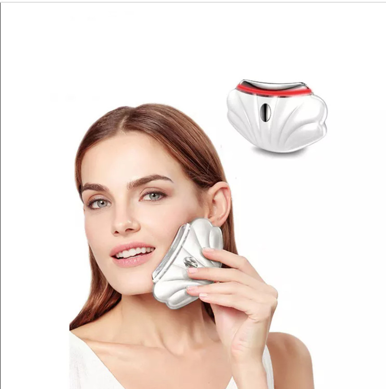 Home use trending products 2022 new arrivals Wholesale Customization Handheld Electric Face Lifting Face Skin Beauty Dev