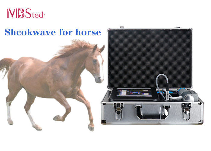 2000000 Shots Veterinary Horse Pain Shockwave Therapy Machine