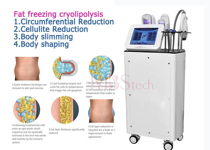 CE Rohs Weight Loss Body EMShapeing Cryolipolysis Machine
